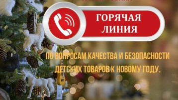 «Горячая линия» по вопросам качества и безопасности детских товаров и выбора новогодних подарков «Горячая линия» по вопросам качества и безопасности детских товаров и выбора новогодних подарков.